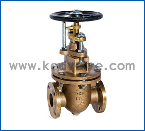 船用法蘭青銅閘閥 CB467-95(圖1)